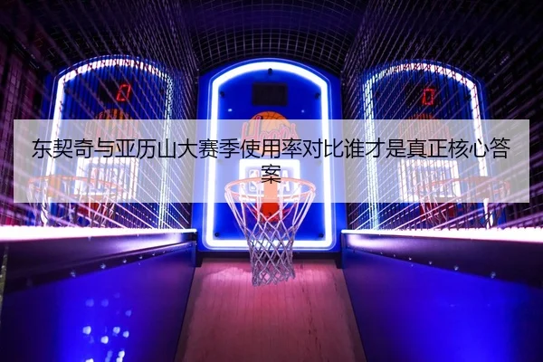 东契奇与亚历山大赛季使用率对比谁才是真正核心答案